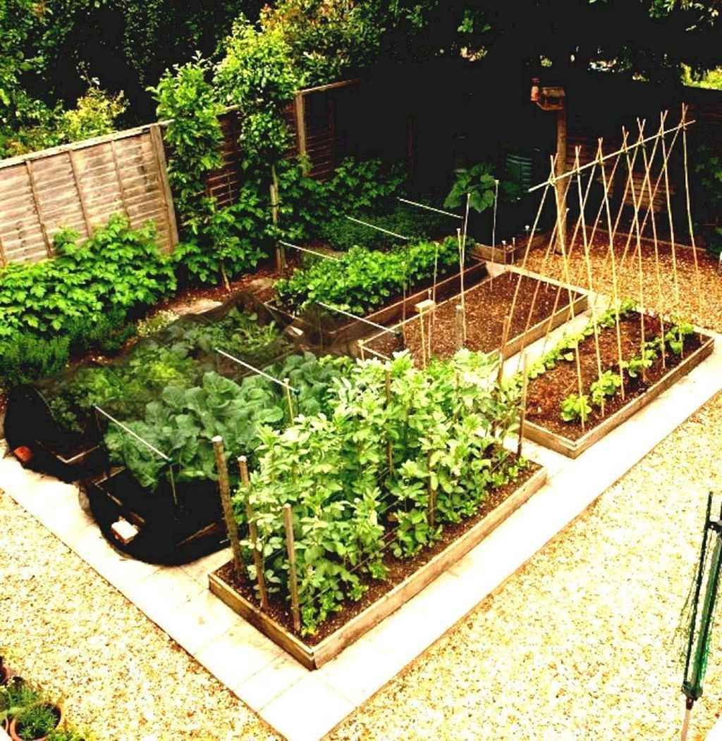 Get into the Garden and Grow Organic Vegetables